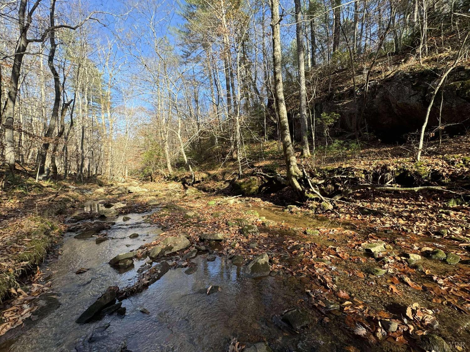 Sycamore Drive, Goode, Virginia image 1