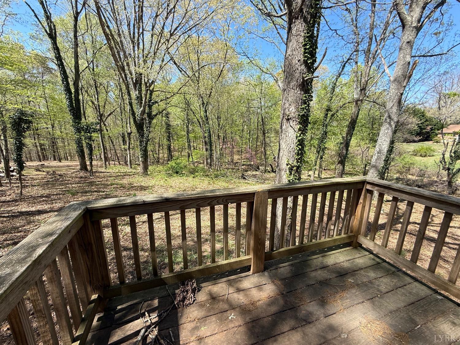126 Berkley Place, Madison Heights, Virginia image 8