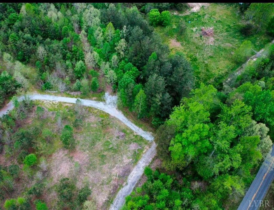 Tyler Road, Crewe, Virginia image 15