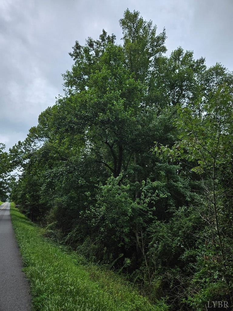 Tyler Road, Crewe, Virginia image 7