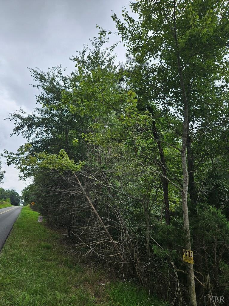 Tyler Road, Crewe, Virginia image 12