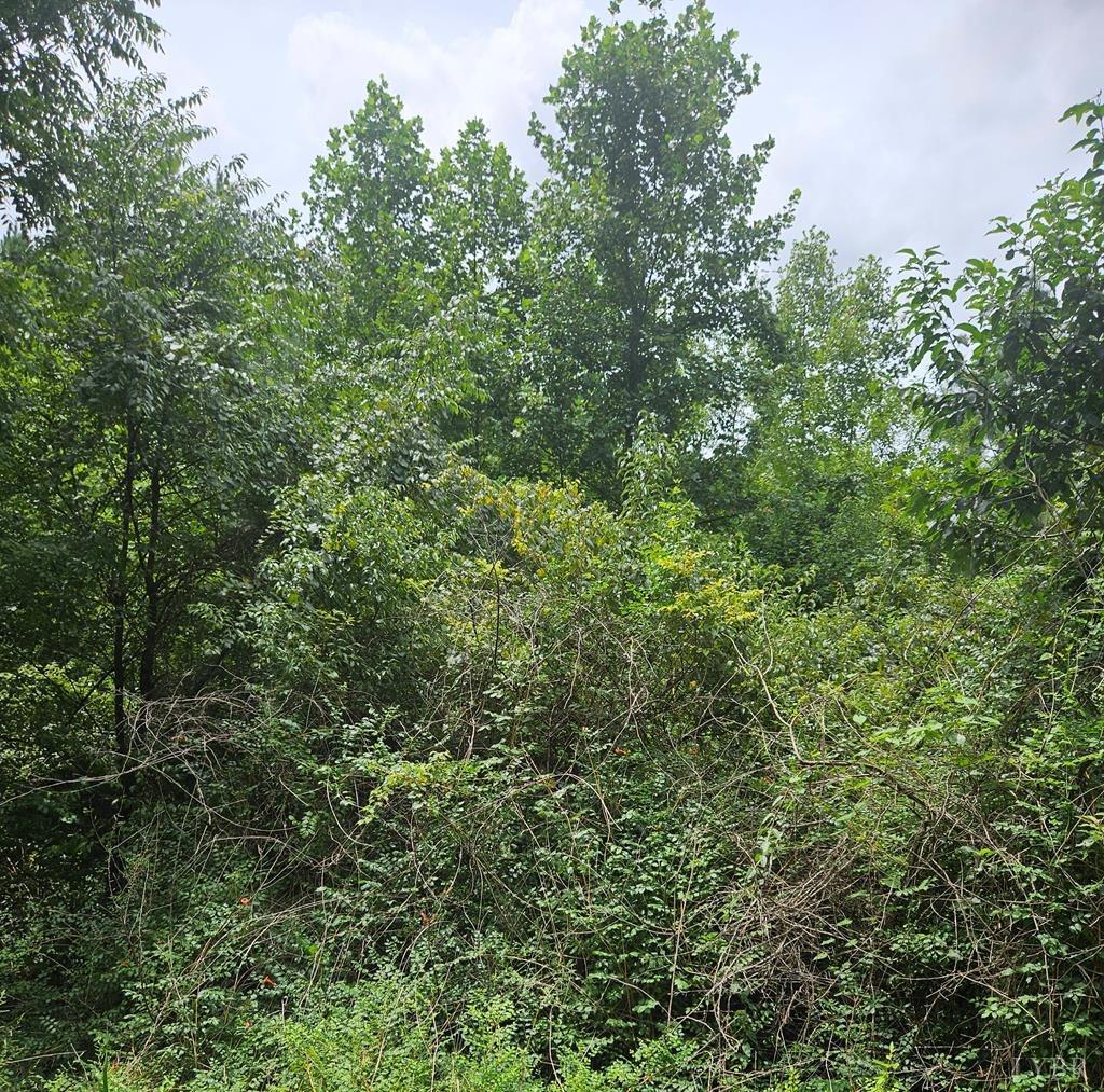 Tyler Road, Crewe, Virginia image 6