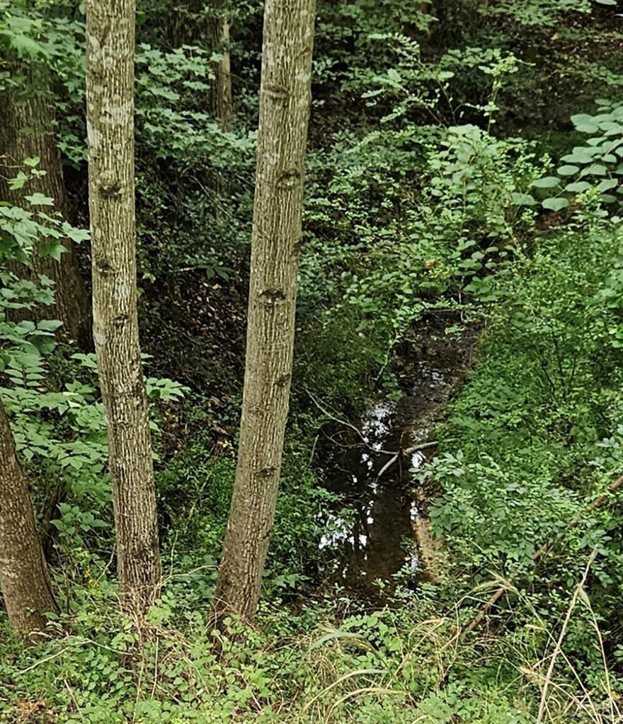 Tyler Road, Crewe, Virginia image 10