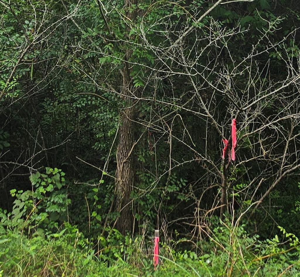 Tyler Road, Crewe, Virginia image 8