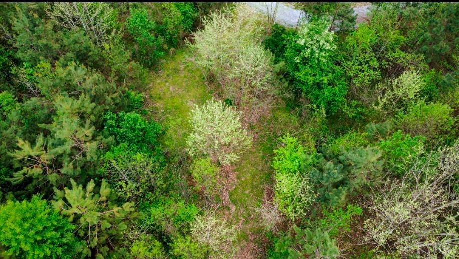 Tyler Road, Crewe, Virginia image 11