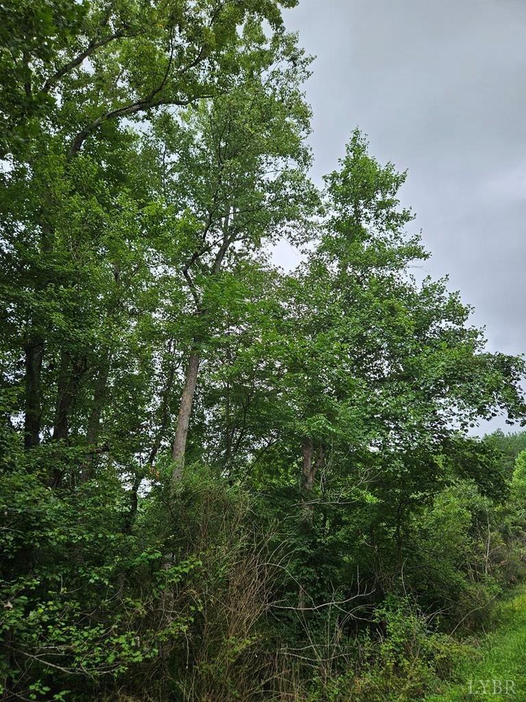 Tyler Road, Crewe, Virginia image 9