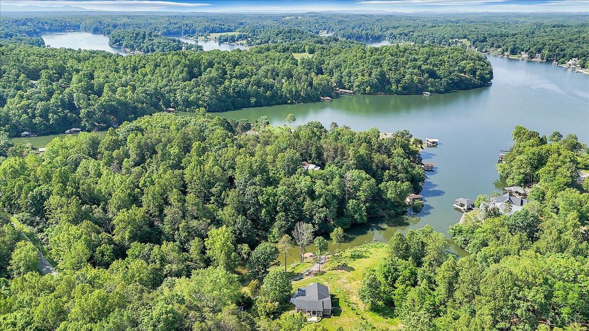 1620 Stripers Cove Road, Goodview, Virginia image 4