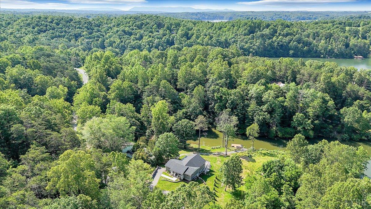 1620 Stripers Cove Road, Goodview, Virginia image 48