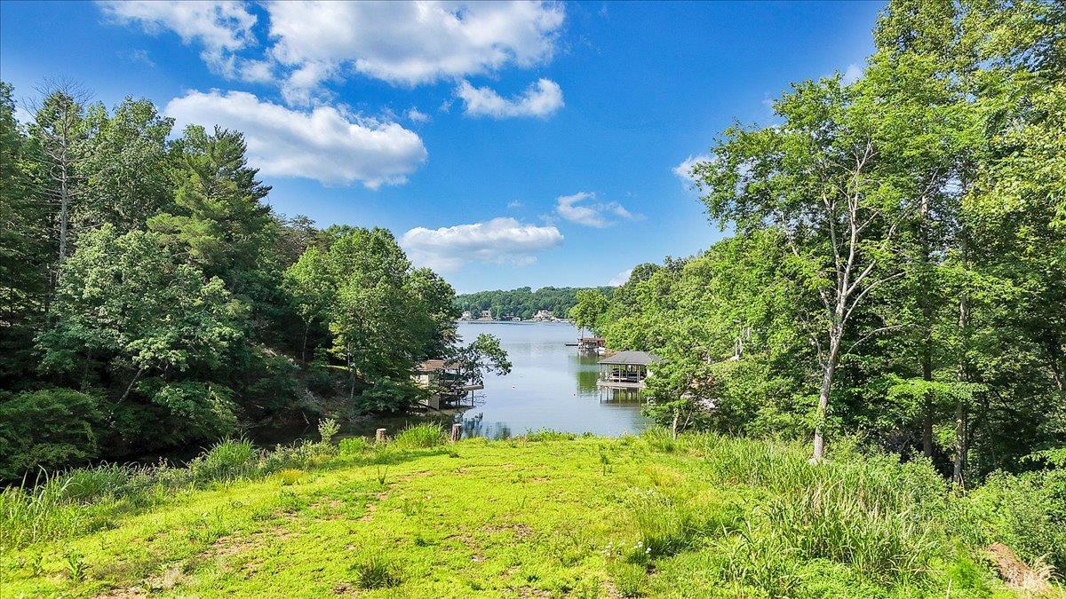 1620 Stripers Cove Road, Goodview, Virginia image 38