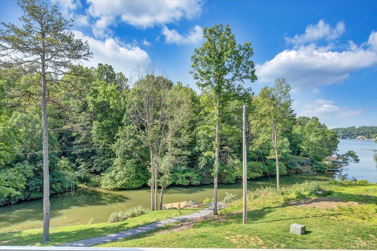 1620 Stripers Cove Road, Goodview, Virginia image 43