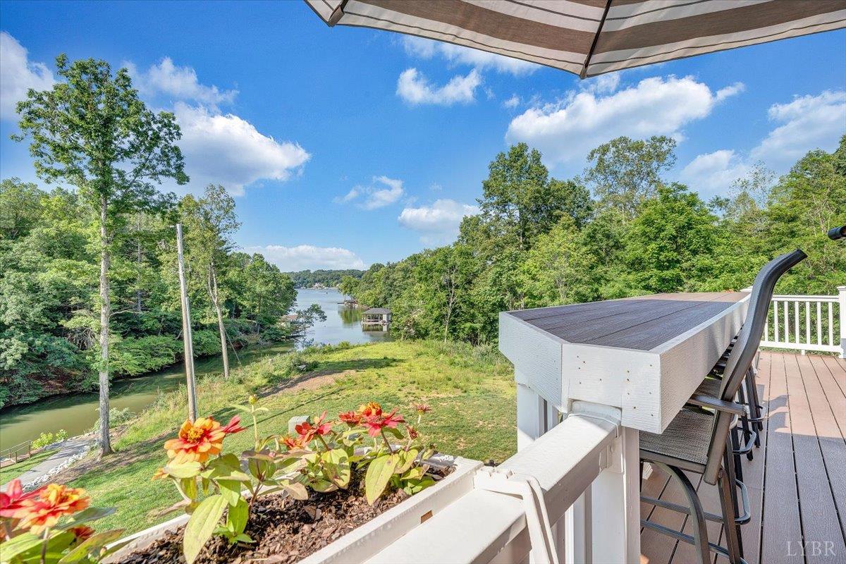 1620 Stripers Cove Road, Goodview, Virginia image 37