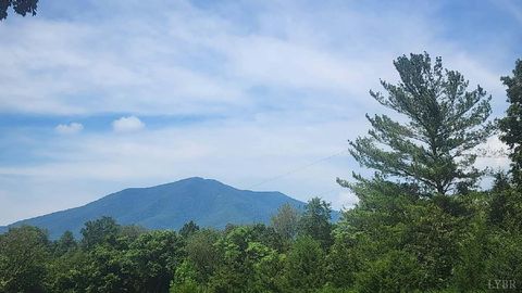 Tiny photo for 209 Leatherwood Place, Bedford, VA 24523 (MLS # 365193)