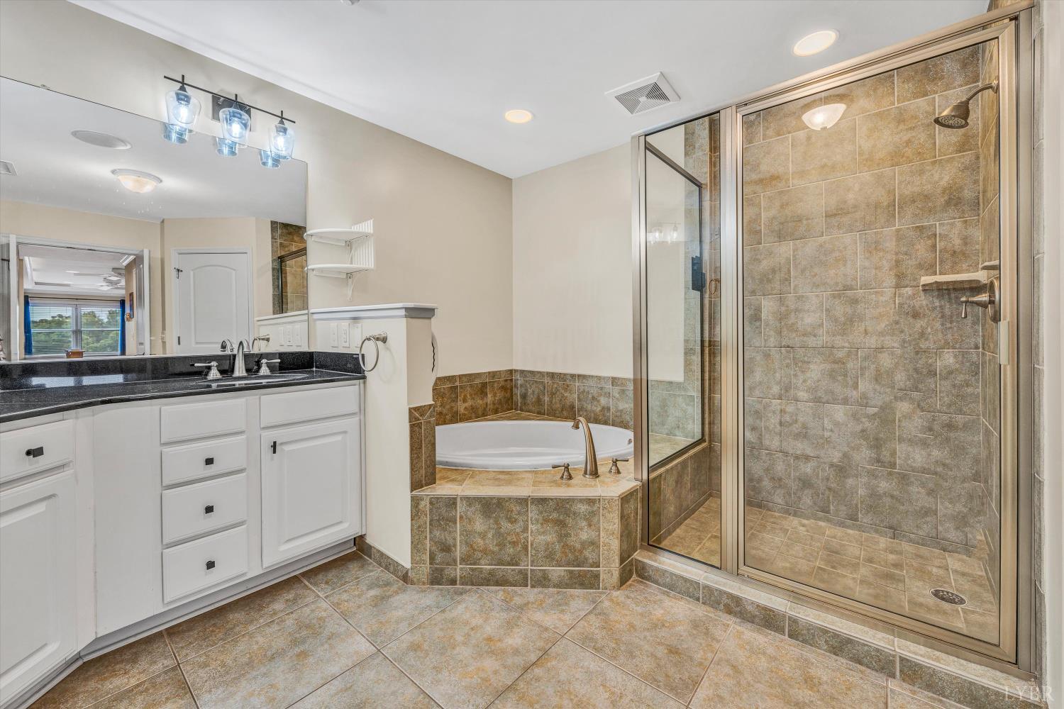 100 Bridgewater Pointe Place Pl #401, Moneta, Virginia image 22