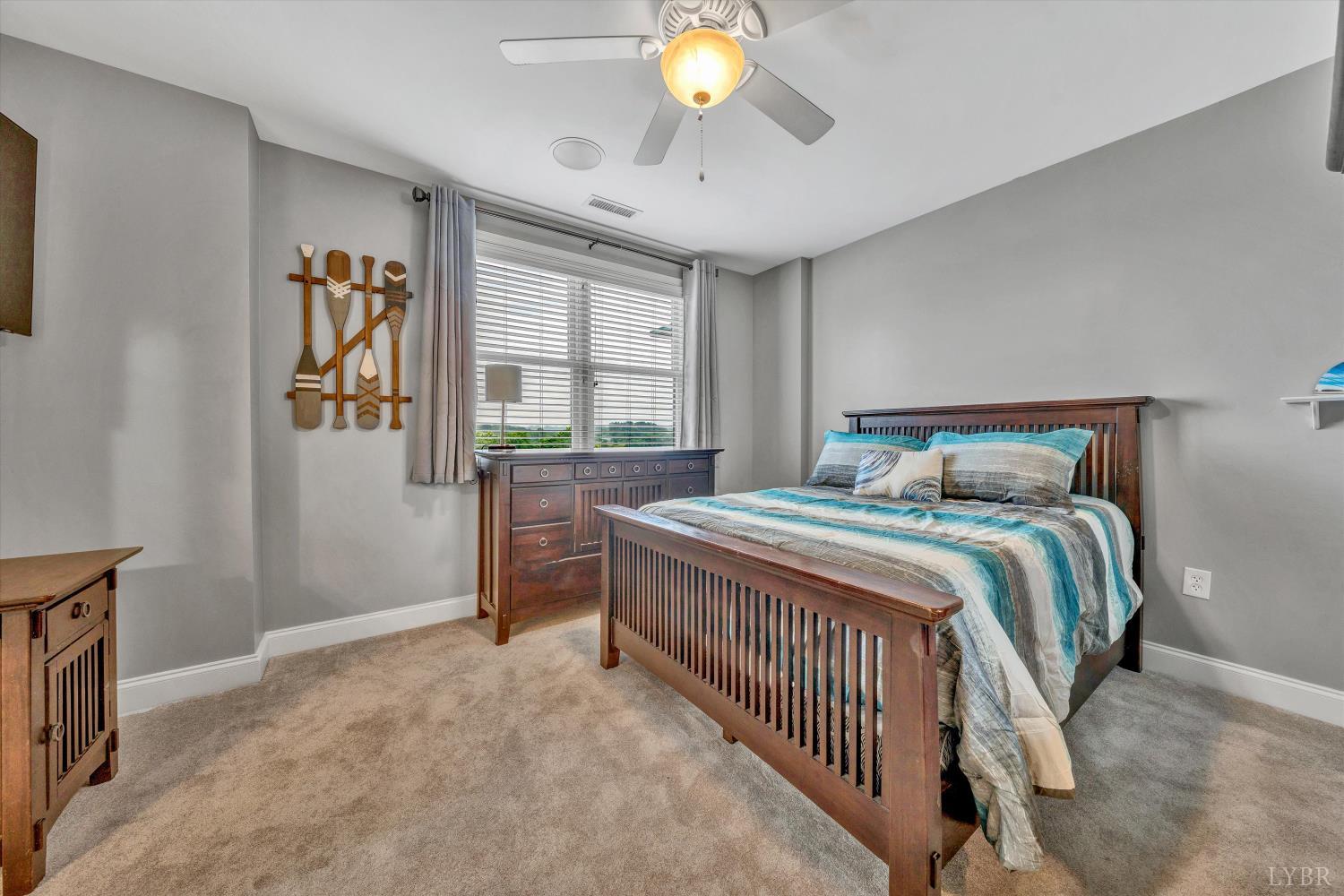 100 Bridgewater Pointe Place Pl #401, Moneta, Virginia image 34