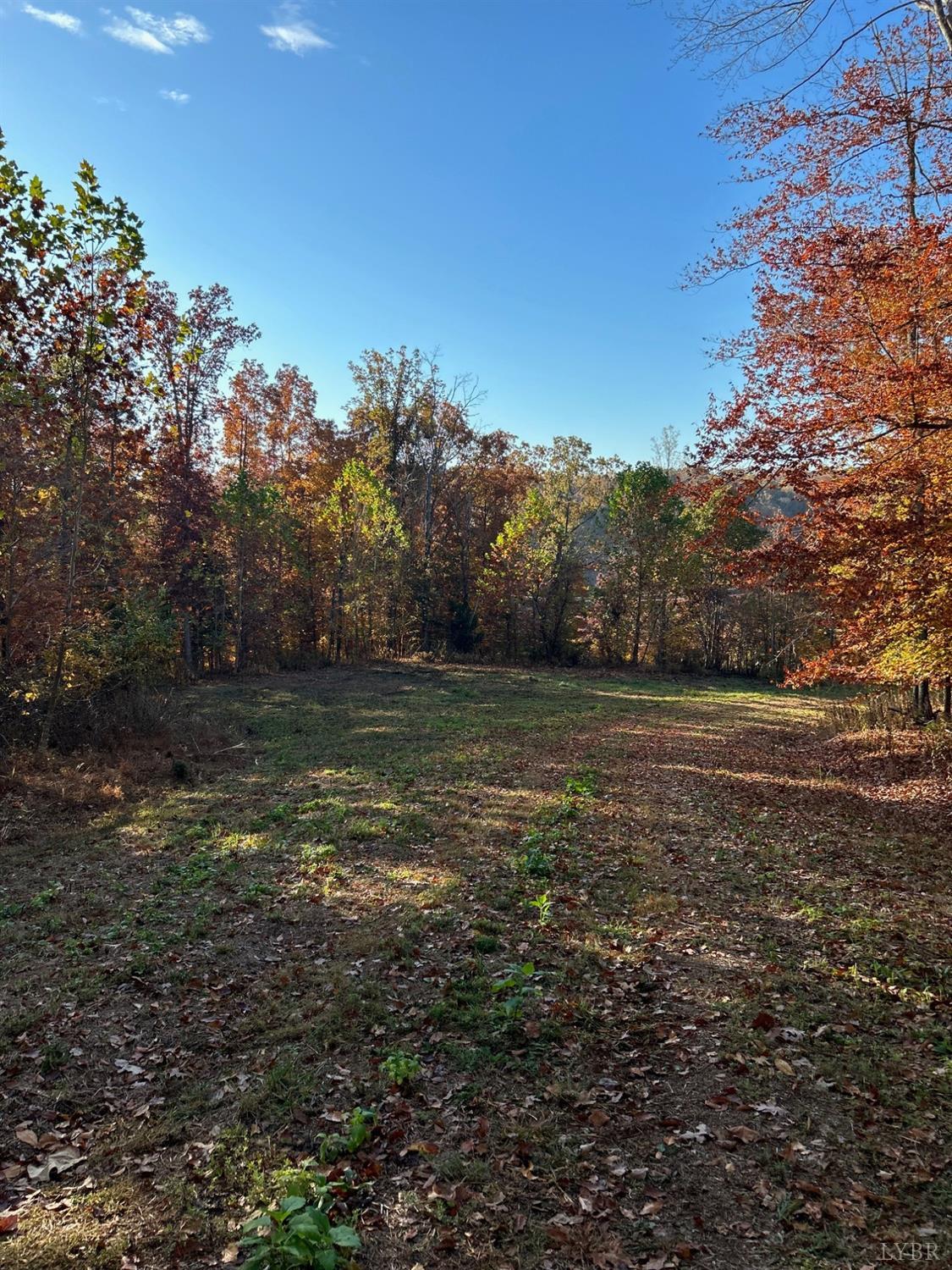 Burgess Road, Madison Heights, Virginia image 4