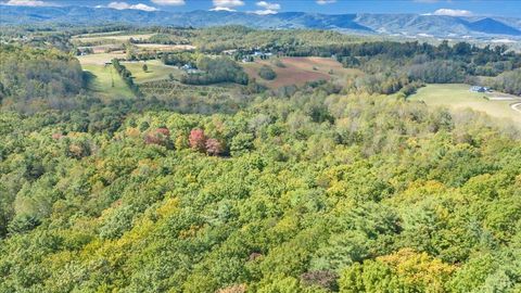 Tiny photo for 625 Claybanks Drive, Callaway, VA 24067 (MLS # 362605)