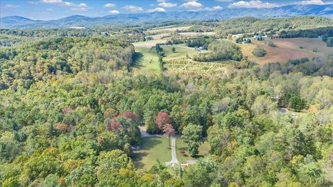 Tiny photo for 625 Claybanks Drive, Callaway, VA 24067 (MLS # 362605)