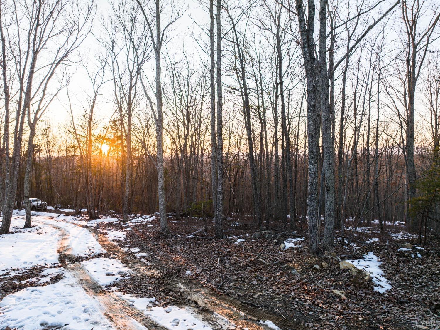 Tbd Earley Farm Road, Amherst, Virginia image 30