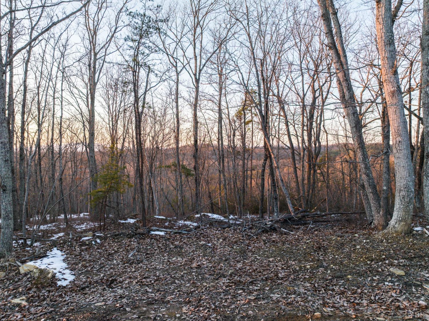 Tbd Earley Farm Road, Amherst, Virginia image 7