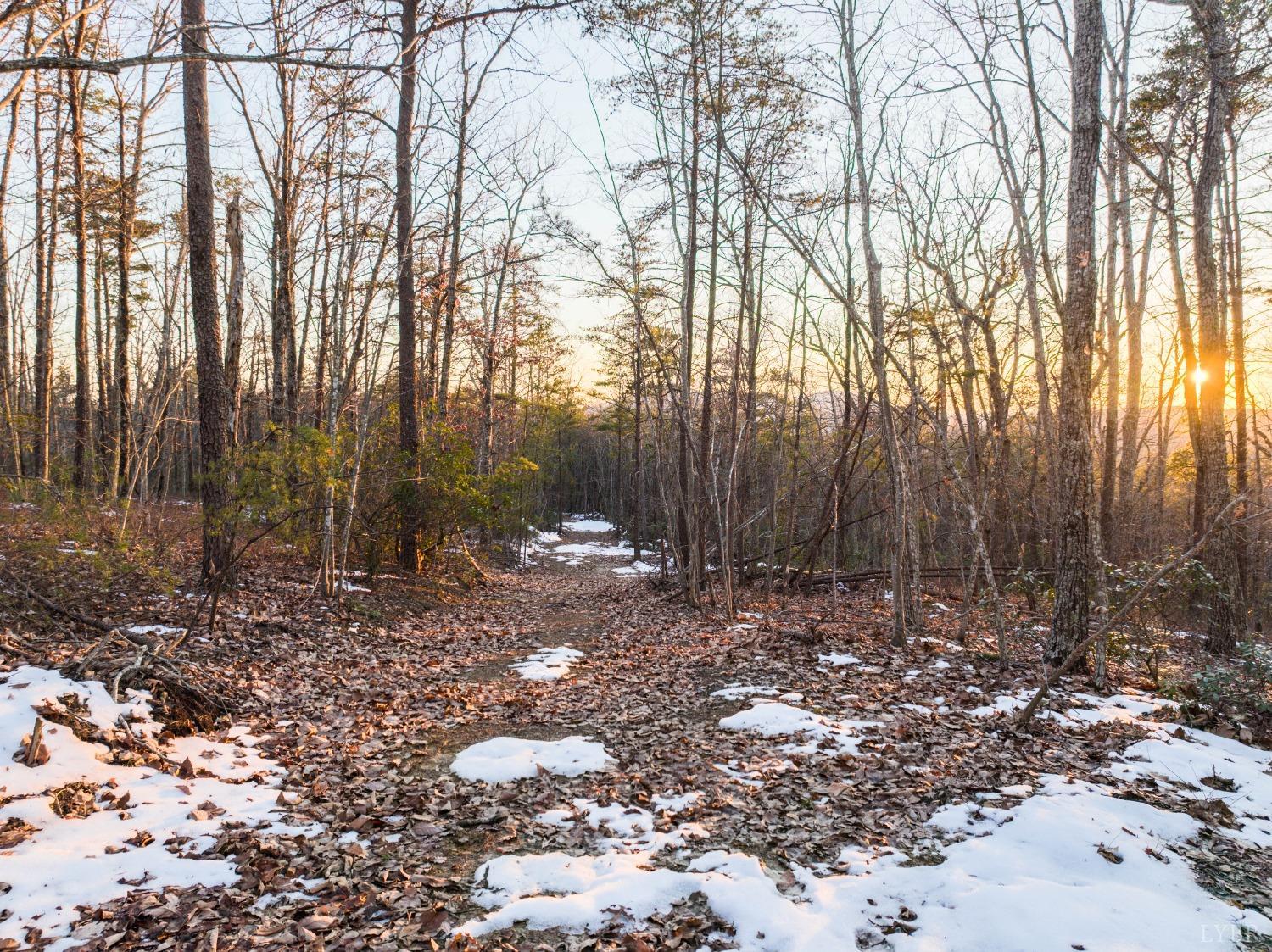 Tbd Earley Farm Road, Amherst, Virginia image 25