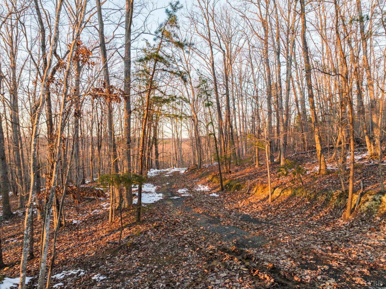 Tbd Earley Farm Road, Amherst, Virginia image 27