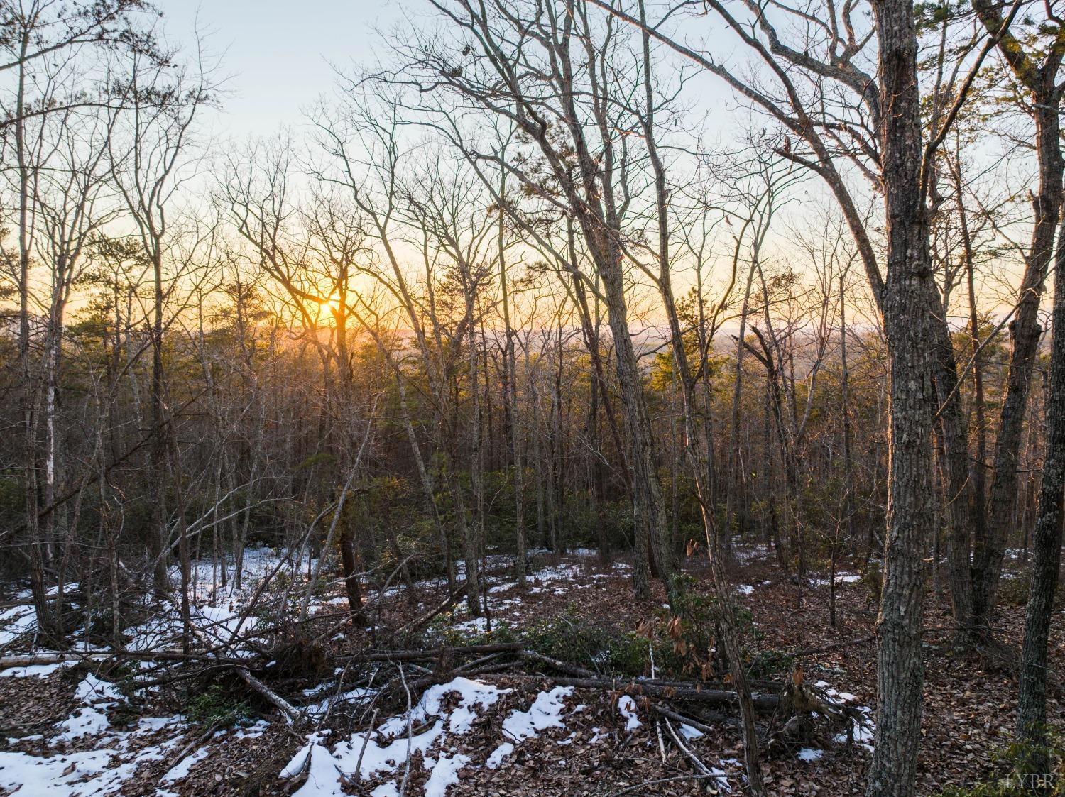 Tbd Earley Farm Road, Amherst, Virginia image 26