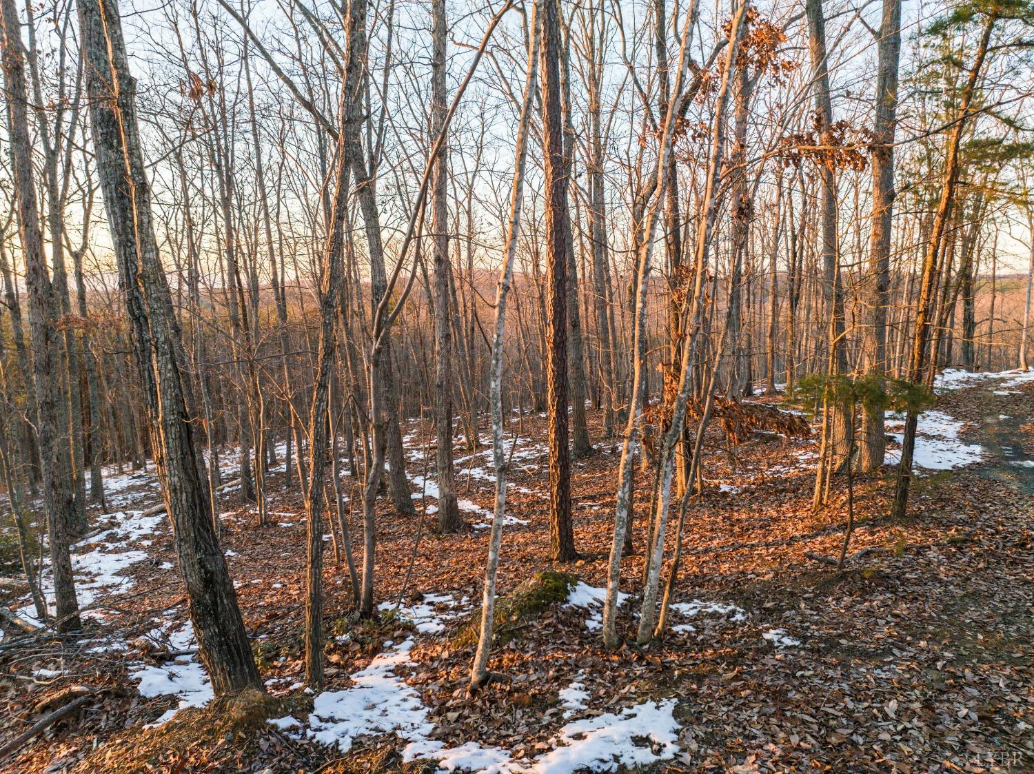 Tbd Earley Farm Road, Amherst, Virginia image 29