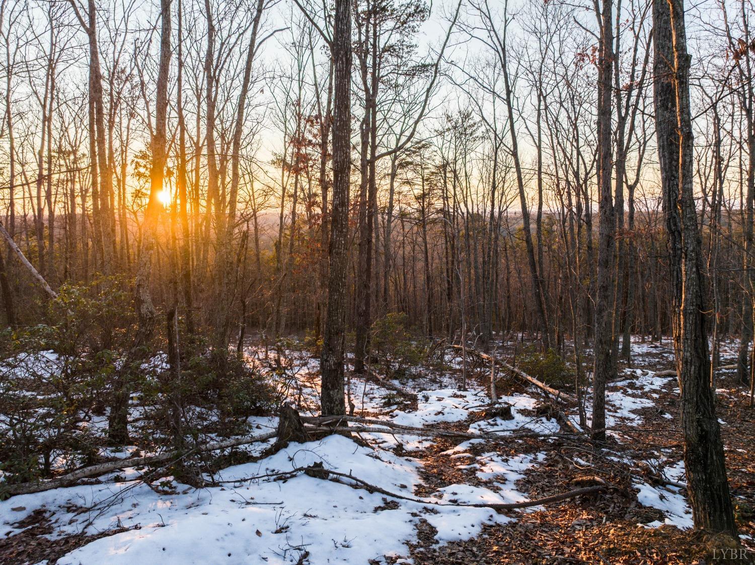 Tbd Earley Farm Road, Amherst, Virginia image 28