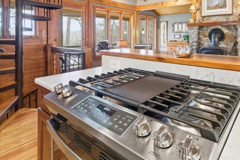 Tiny photo for 185 Wild Rose Ln Ln, Monroe, VA 24574 (MLS # 363599)