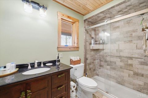 Tiny photo for 185 Wild Rose Ln Ln, Monroe, VA 24574 (MLS # 363599)