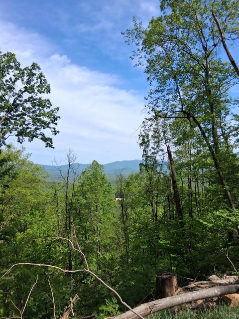 Vacant Land For Sale - Robinson Gap Road<br/> Monroe, VA 24574