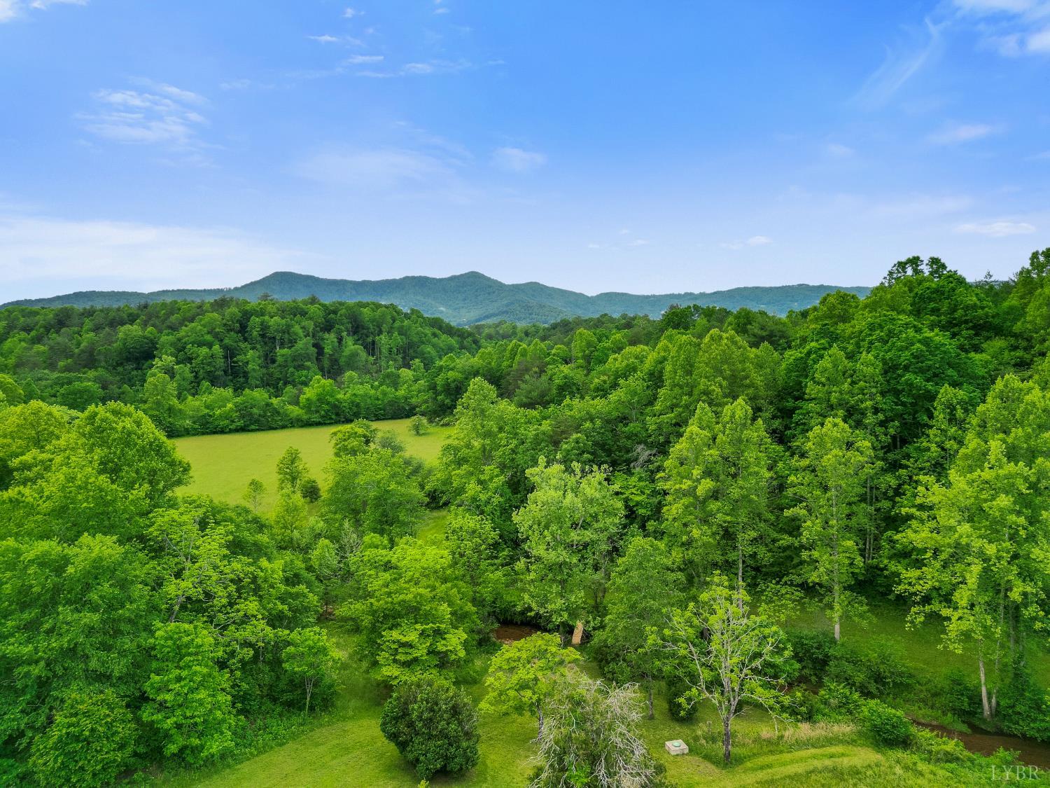 640 Jones Mill Road, Cana, Virginia image 43