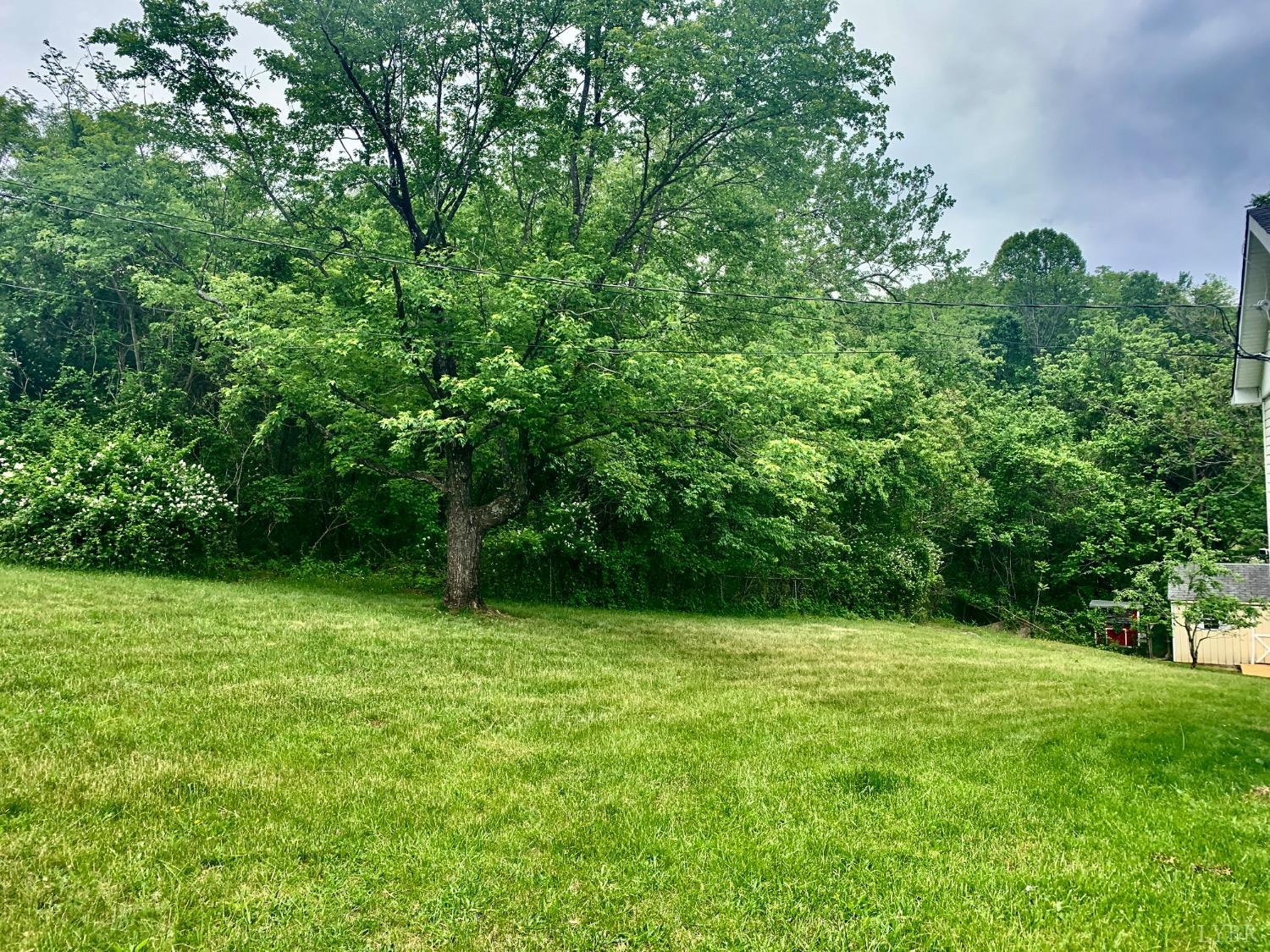 1349 Murray Hollow Rd Rd, Thaxton, Virginia image 24