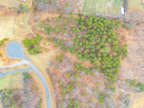 Tiny photo for 14 Caroline Ct, Union Hall, VA 24176 (MLS # 363689)