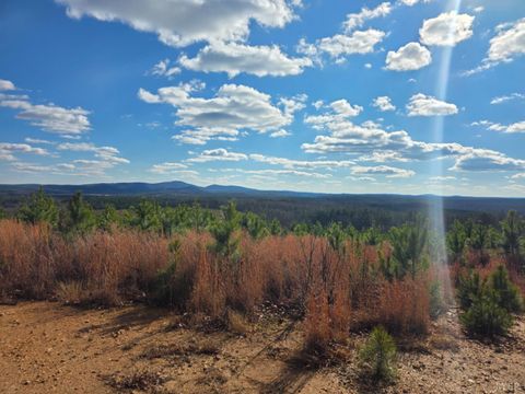 Tiny photo for 0 5150 Norwood Road, Gladstone, VA 24553 (MLS # 363390)