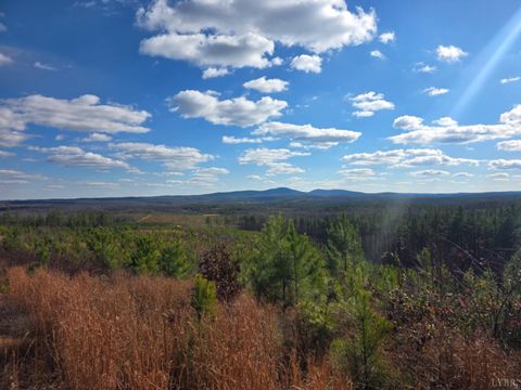 Tiny photo for 0 5150 Norwood Road, Gladstone, VA 24553 (MLS # 363390)