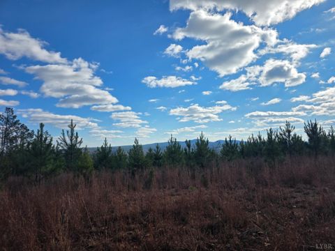 Tiny photo for 0 5150 Norwood Road, Gladstone, VA 24553 (MLS # 363390)