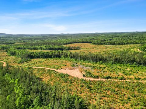 Tiny photo for 0 5150 Norwood Road, Gladstone, VA 24553 (MLS # 363390)