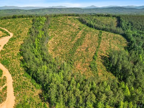 Tiny photo for 0 5150 Norwood Road, Gladstone, VA 24553 (MLS # 363390)