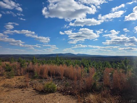 Tiny photo for 0 5150 Norwood Road, Gladstone, VA 24553 (MLS # 363390)