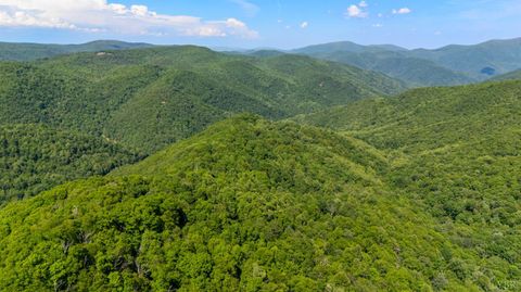 Vacant Land For Sale - 0 Meadows Lane<br/> Nelson County, Montebello, VA 24464