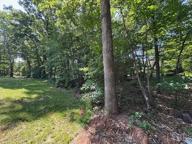 7447 Red House Road Rd, Appomattox, Virginia image 9