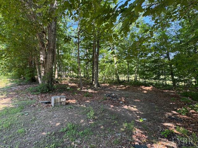 7447 Red House Road Rd, Appomattox, Virginia image 3