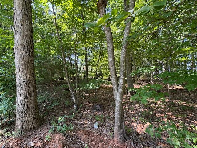 7447 Red House Road Rd, Appomattox, Virginia image 8