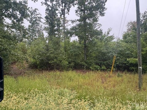 Vacant Land For Sale - W James Anderson Highway<br/> Buckingham County, Gladstone, VA 24553
