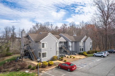 Photo of 1314 Twin Springs Court, Forest, VA 24551 (MLS # 364954)