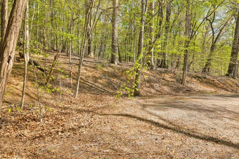Photo of 0 Old Barn Road, Moneta, VA 24121 (MLS # 365890)