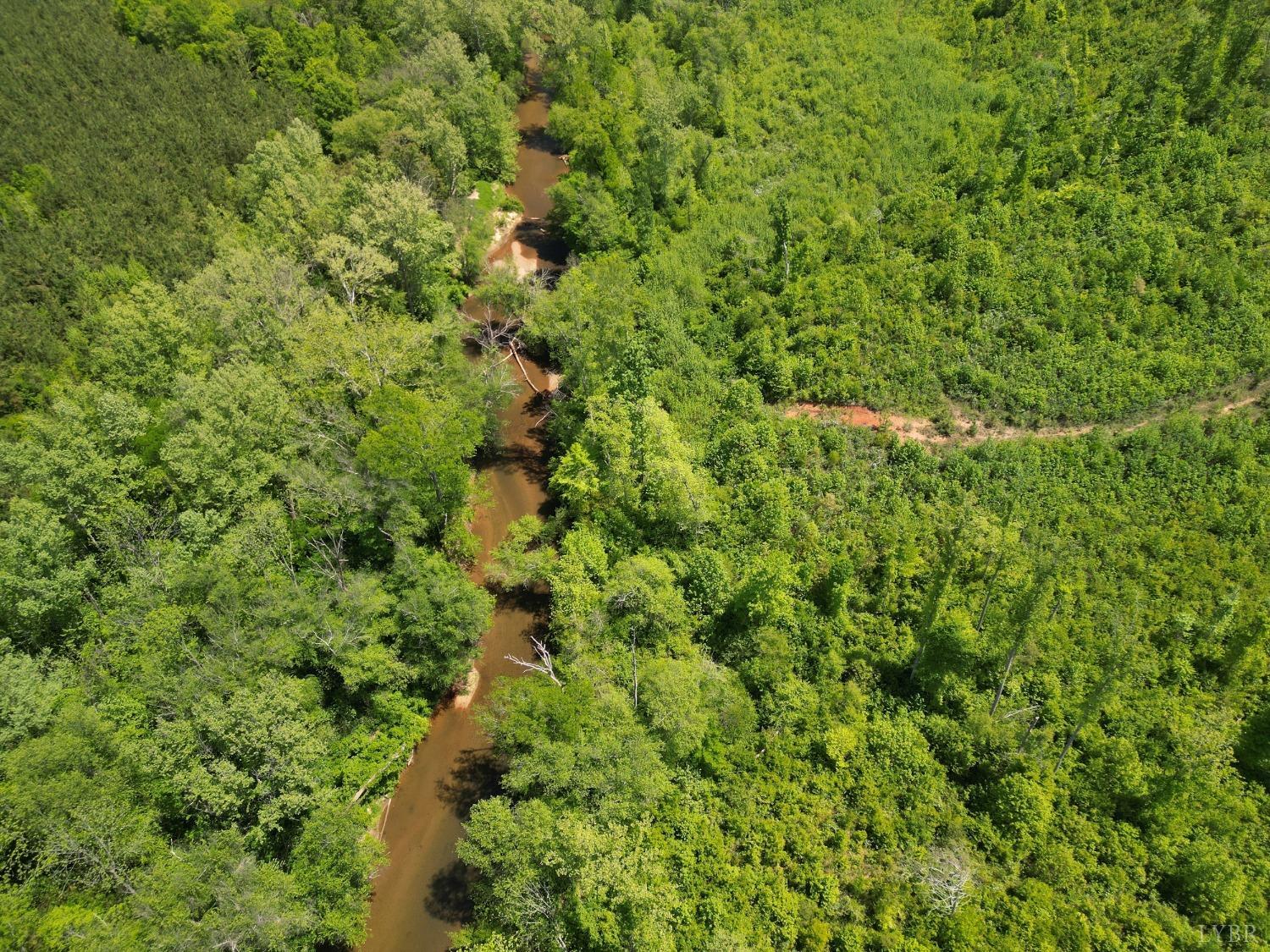 Three Creeks Road, Gladys, Virginia image 18