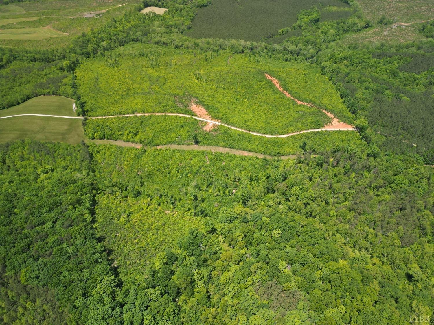 Three Creeks Road, Gladys, Virginia image 3