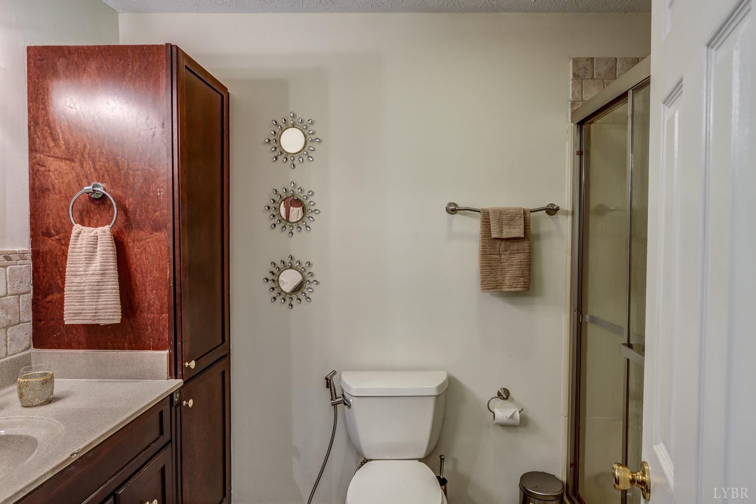 1529 Bateman Bridge Road, Forest, Virginia image 18